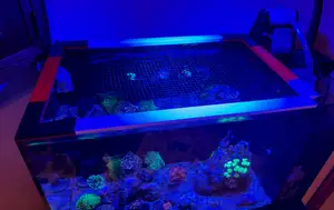 Jumpguard - lid for aquarium (customizable)