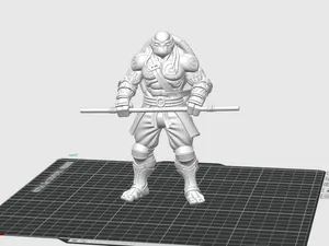 Donatello: Tartaruga Ninja