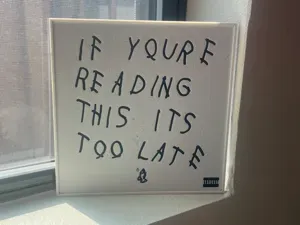 Drake - If You're Reading This It's Too Late