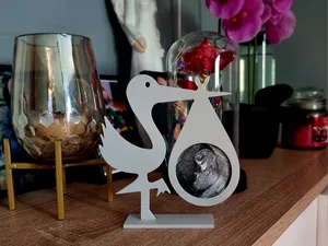 Ultrasound Picture Frame