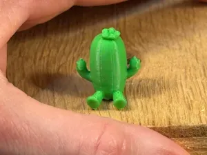 Cute Mini Cactus