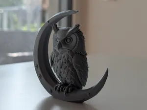 Owl on Crescent Moon