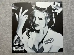 Blink 182 Enema of the State Album Cover Hueforge