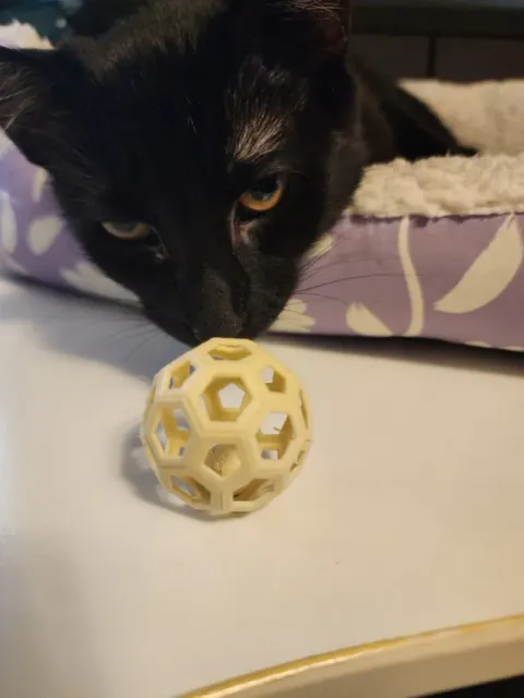 Cat Toy Ball — Фото 6 из 7