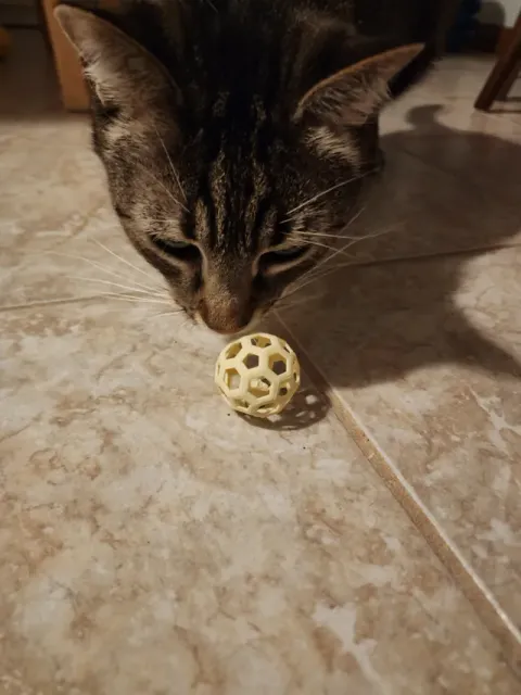 Cat Toy Ball — Фото 5 из 7