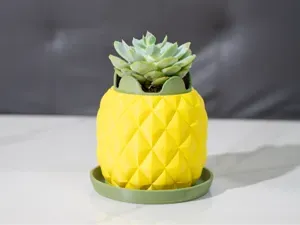 一个大菠萝小花盆