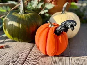 Pumkin Buster