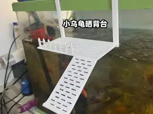 小乌龟晒背台