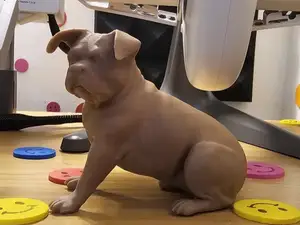 ROTTWEILER (Realista)