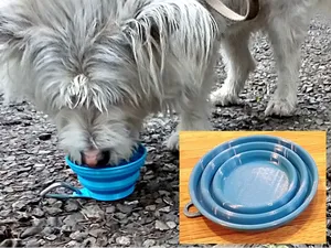 Collapsible Water Bowl (TPU)