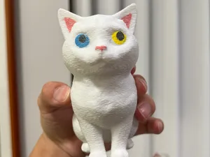 宠物猫模型（一只可爱的白色猫咪）