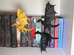 Flying dragon spine Huggers Fourth Wing Fantasy