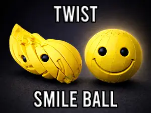 Twist Smile Fidget Toy