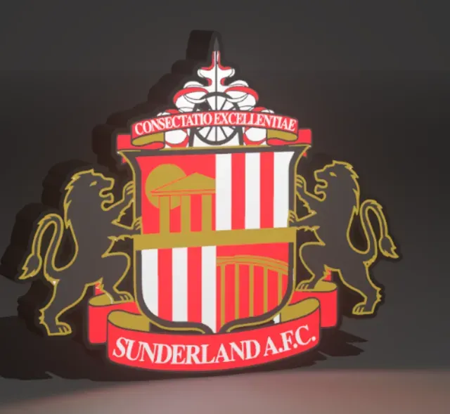 Sunderland FC led lightbox – — Фото 4 из 8