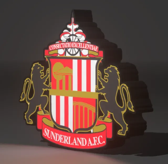 Sunderland FC led lightbox – — Фото 6 из 8