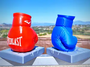 Boxing Glove Desk Organizer