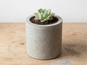 Concrete cylinder or Plaster planter mold