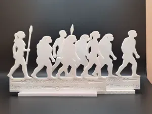 Human Evolution Silhouettes – Male & Female