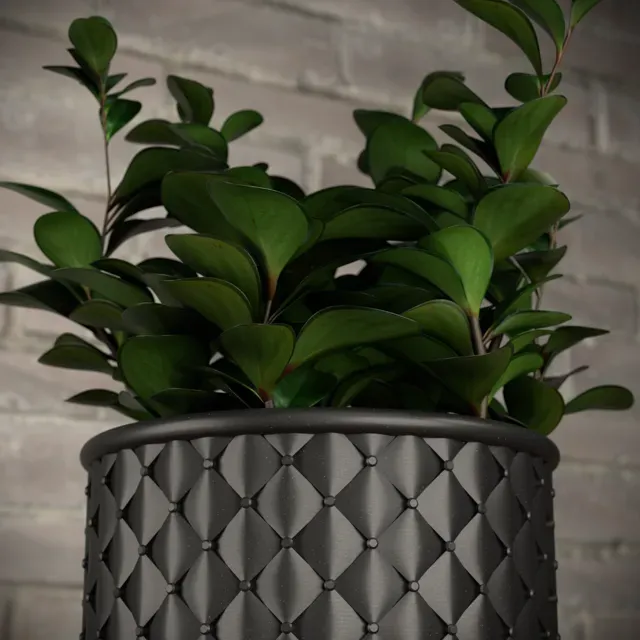 QUILTED TWIST-OFF PLANTER — Фото 5 из 8