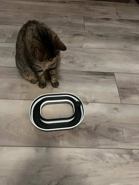 Infinity Ball Loop - Cat Toy — Фото 2 из 8