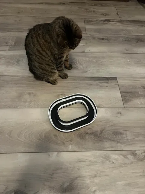 Infinity Ball Loop - Cat Toy — Фото 8 из 8