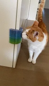 Self Purrfect Groom Brush - easy to print & strong