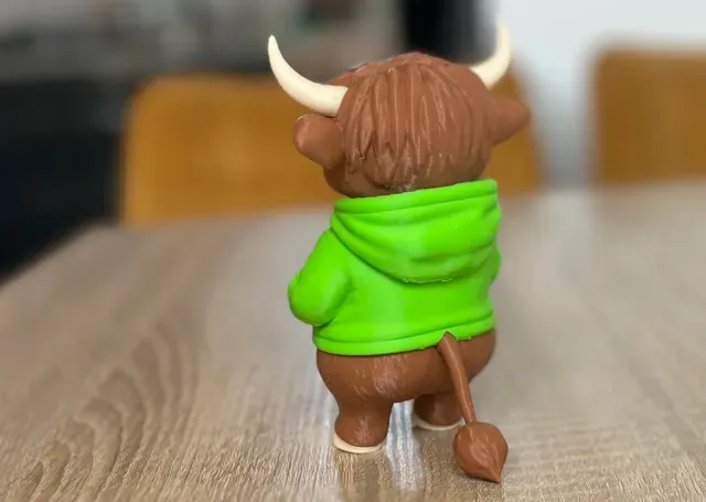 Cool swag Highland cow — Фото 7 из 8