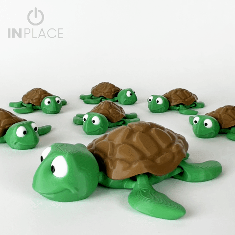 Cute Turtle Articulated