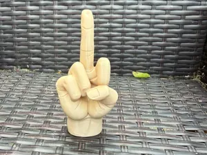 Raised middle finger hand gesture