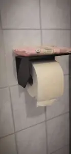 Toilet paper holder with shelf