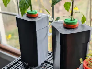 Mason Jar DWC/Kratky Hydroponics
