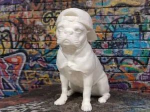 French Bulldog with Cap - Animal - Dog