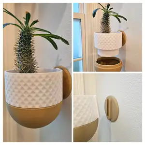 Diamond Bowl Wall Planter with Hidden Drip Tray