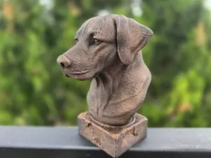 RHODESIAN RIDGEBACK BUST