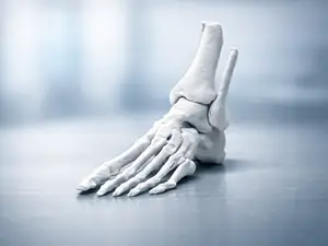 Menschlicher Fussknochen - Echter MRT/MRI Scan