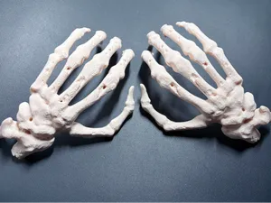 Halloween mano terrorífica (mano Izquierda)