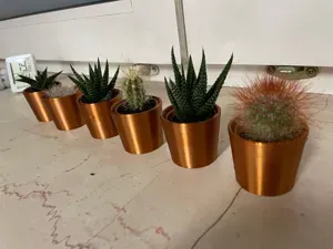 Mini plant pot for succulents and cacti from Ikea