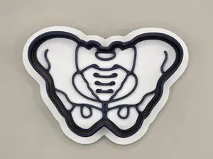 Woman Pelvis Bone Anatomy Cutter Stamp Cookie
