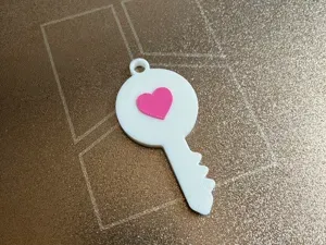 Key-Shaped NFC Keychain/Tag