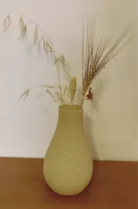 Simple and stylish Vase