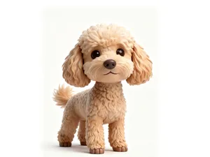 Cute Cavapoo Puppy Maltipoo – Toy Poodle Dog