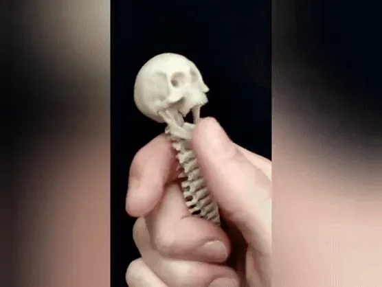 L'ANTISTRESS DEL PREDATOR (FULLY ARTICULATED) — Фото 3 из 15