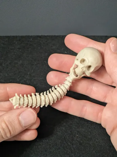 L'ANTISTRESS DEL PREDATOR (FULLY ARTICULATED) — Фото 8 из 15