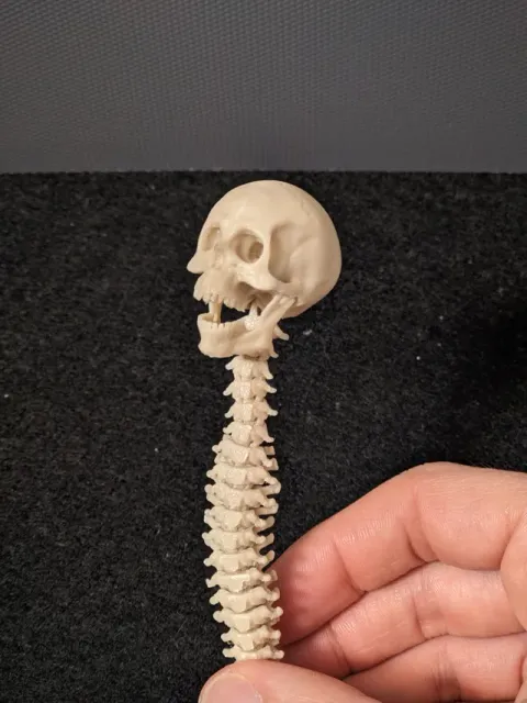 L'ANTISTRESS DEL PREDATOR (FULLY ARTICULATED) — Фото 11 из 15