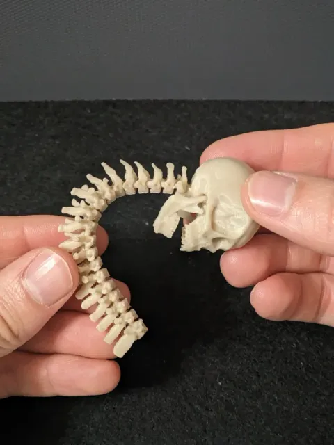 L'ANTISTRESS DEL PREDATOR (FULLY ARTICULATED) — Фото 7 из 15
