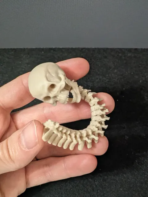 L'ANTISTRESS DEL PREDATOR (FULLY ARTICULATED) — Фото 10 из 15