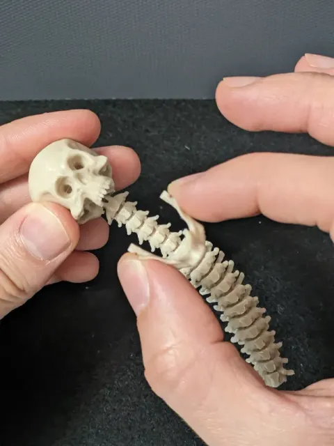 L'ANTISTRESS DEL PREDATOR (FULLY ARTICULATED) — Фото 5 из 15