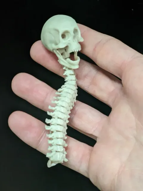 L'ANTISTRESS DEL PREDATOR (FULLY ARTICULATED) — Фото 4 из 15