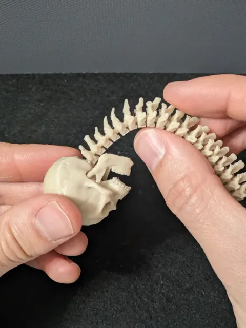 L'ANTISTRESS DEL PREDATOR (FULLY ARTICULATED) — Фото 6 из 15
