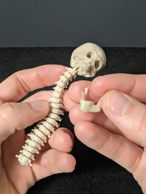 L'ANTISTRESS DEL PREDATOR (FULLY ARTICULATED) — Фото 9 из 15